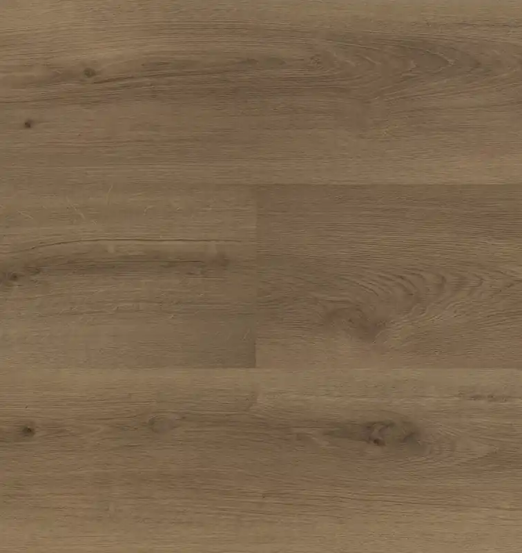 Hete Deal Hebeta Clermont 54826 Plank XL Dryback