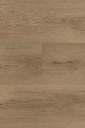 Beperkte Voorraad Hebeta Clermont 54825 Plank XL Dryback