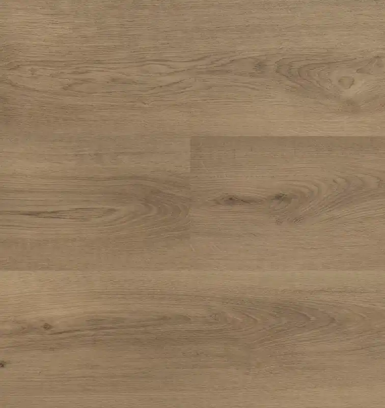 Beperkte Voorraad Hebeta Clermont 54825 Plank XL Dryback