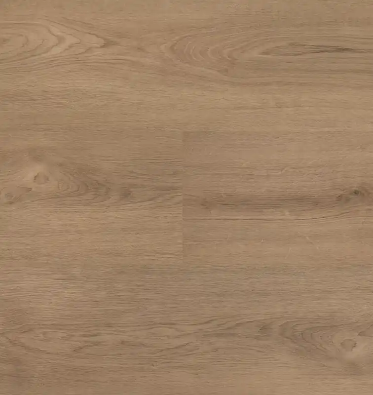 Hebeta Clermont 54824 Plank XL Dryback Koop Online