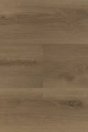 Direct Beschikbaar Hebeta Clermont 55826 Plank XL Click