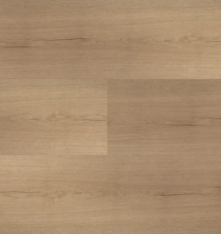 Montinique Château 54853 Plank XL Dryback Laatste Kans