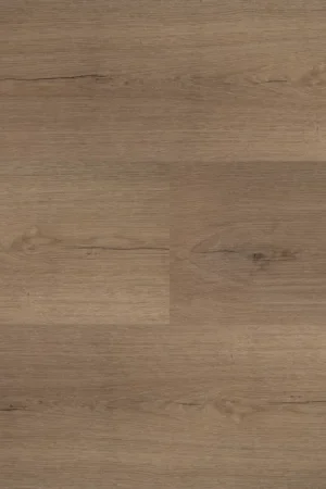 Hebeta Château 54850 Plank XL Dryback Must-Have