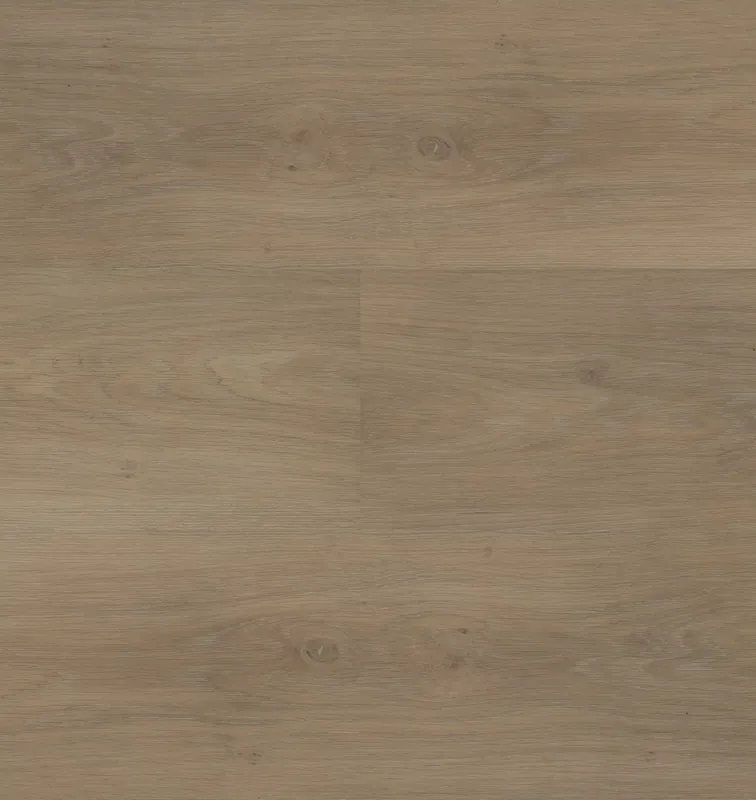 Laatste Kans Hebeta Chapelle 54843 Plank XL Dryback