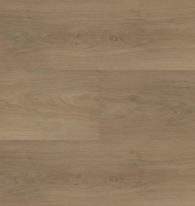 Shop Nu Hebeta Chapelle 54841 Plank XL Dryback
