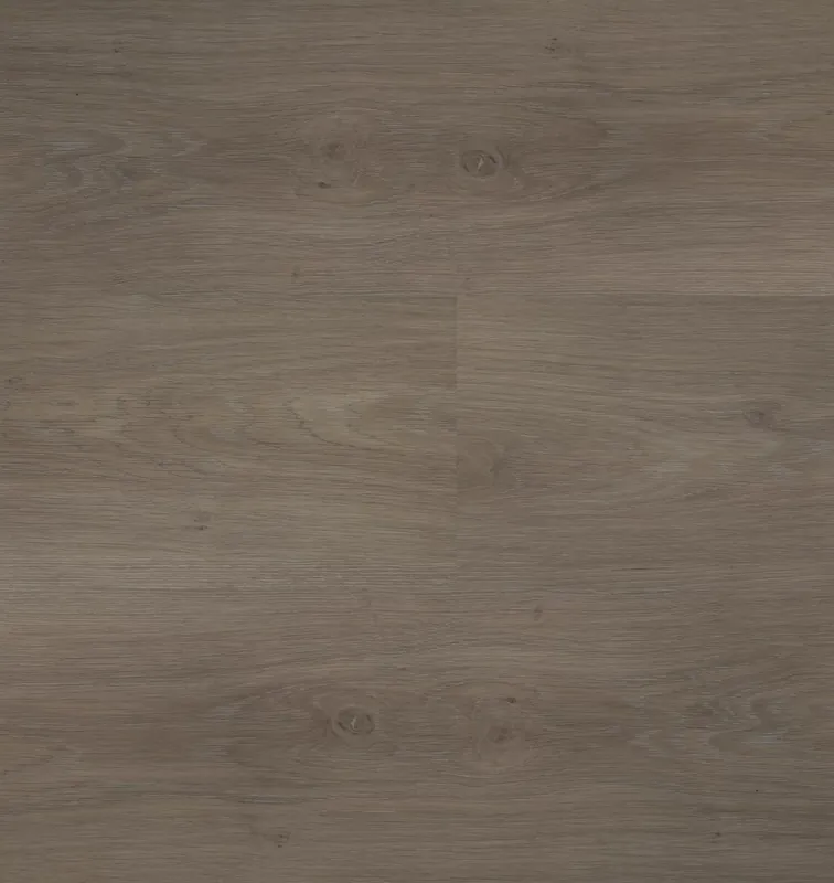 Koop Vandaag Hebeta Chapelle 55840 Plank XL Click