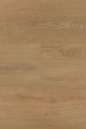 Hebeta Chablis 54858 Plank XL Dryback Direct Beschikbaar