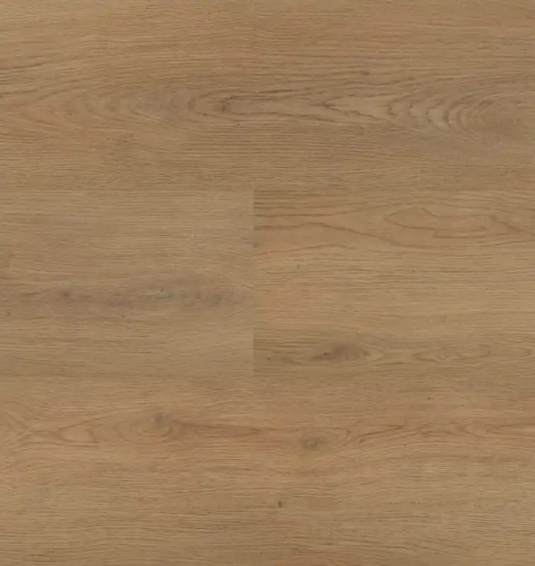 Nu Kopen Hebeta Chablis 54857 Plank XL Dryback