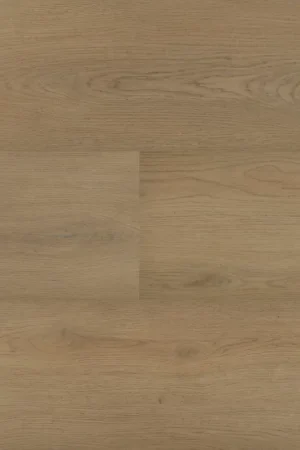 Betrouwbaar Hebeta Chablis 54856 Plank XL Dryback