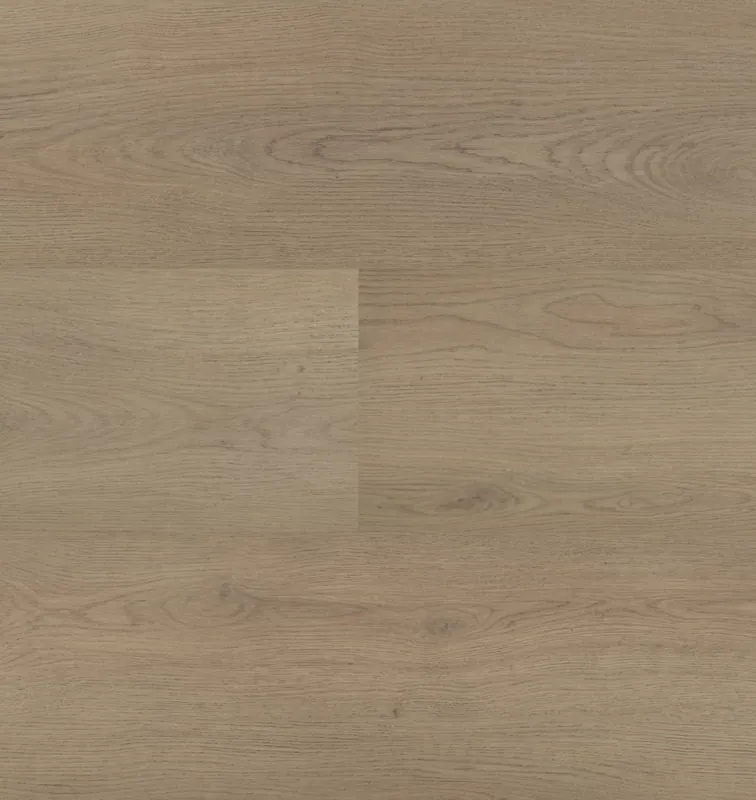 Montinique Chablis 54855 Plank XL Dryback Rechtstreeks Van De Fabrikant