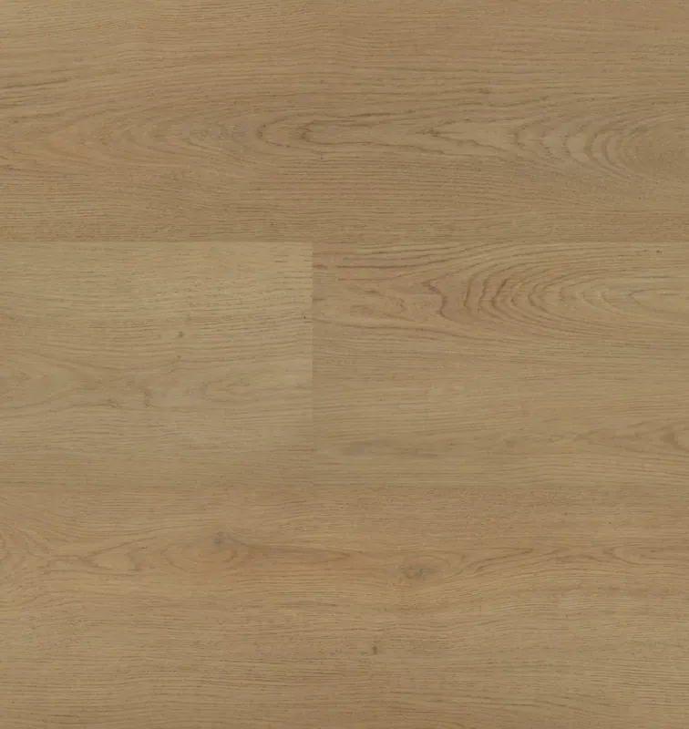 Uitverkoop Montinique Chablis 54854 Plank XL Dryback