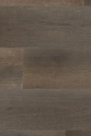 Fabrieksprijs Hebeta Cayenne 54848 Plank XL Dryback