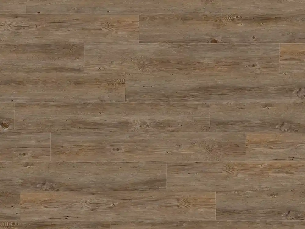 Gerflor Creation 55 0457 Buffalo Plank Click Beste Prijs