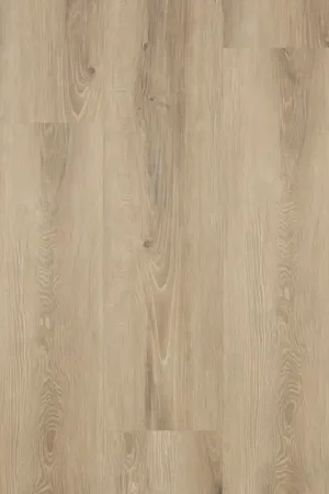 Lage Prijs Castell Supreme 302 SPC 002 Salsa Sand Plank Click