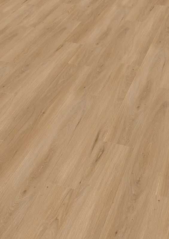 Koop Vandaag Enia Sorex Oak fine pure Plank XL Dryback