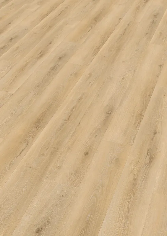 Lage Kosten Enia Sorex Oak snow cream Plank XL Click