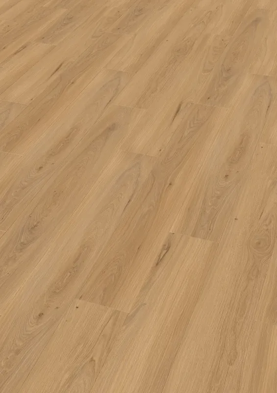 Shop Nu Enia Sorex Oak fine nature Plank XL Click