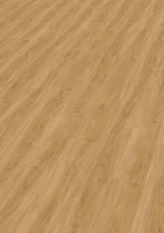 Shop Nu Enia Malacia Oak nature Plank Dryback