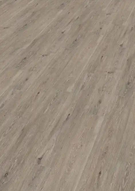 Koop Vandaag Enia Adoria Oak country Plank Click