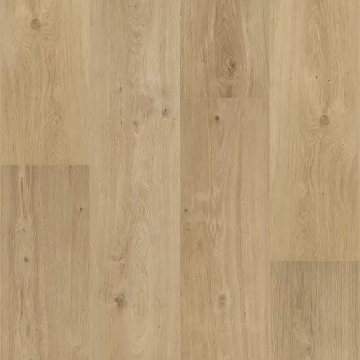 Betaalbaar Floorify Cider Plank XL Dryback