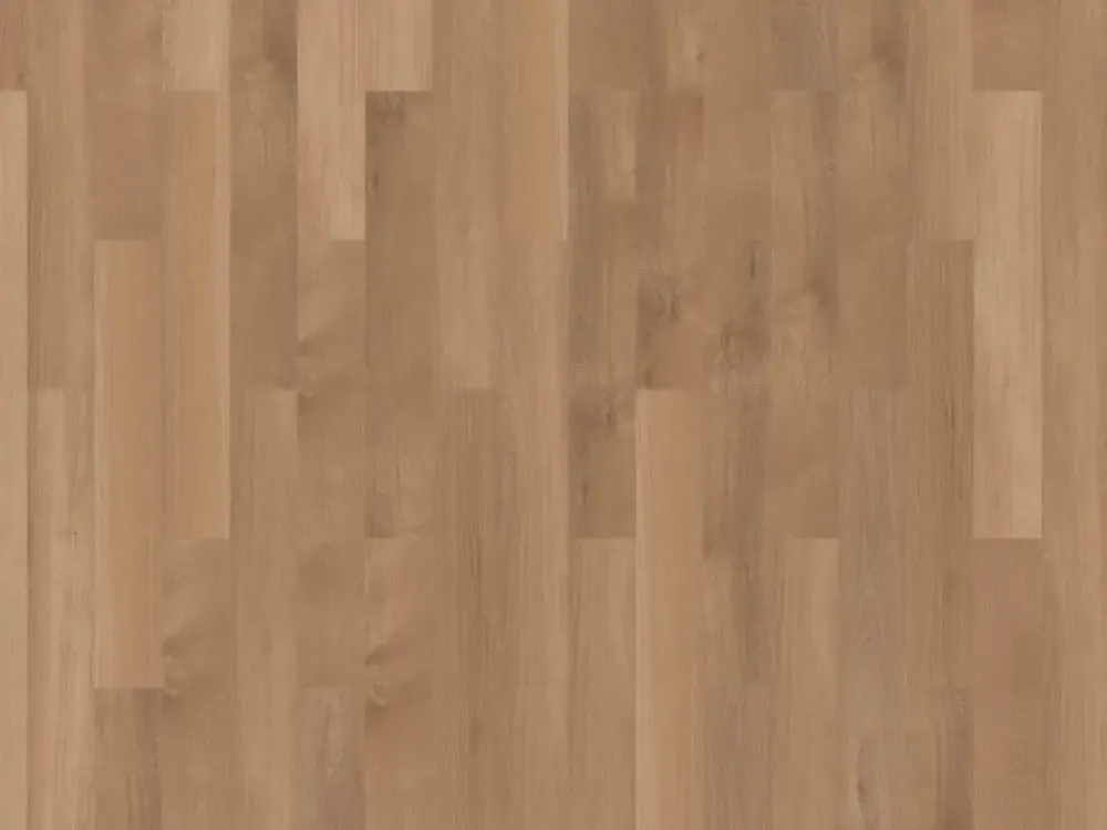 Beste Prijs mFLOR Broad Leaf Pure Sycamore 70822 Plank XL Loose Lay
