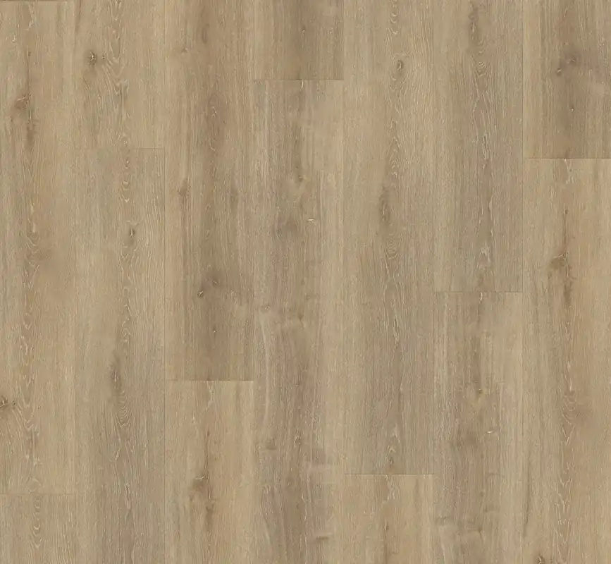Koop Vandaag Parador Vinyl Basic 5.3 Eiken Royal licht gekalkt Plank Click
