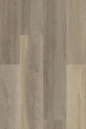 Aanbieding Parador Vinyl CLICK’in Eiken natuurgrijs Plank Click