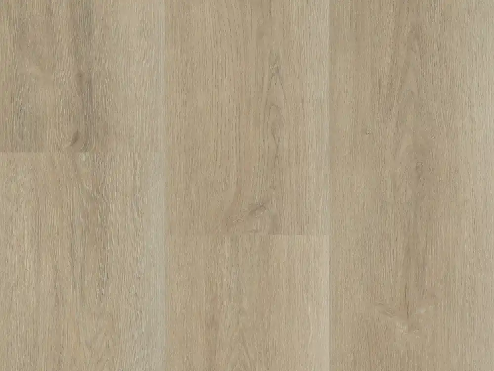 Koop Online Montinique Charente 5547 Plank XL Click