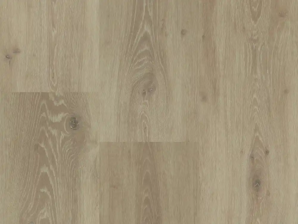 Laatste Versie Montinique Chamonix 54804 Plank XL Dryback