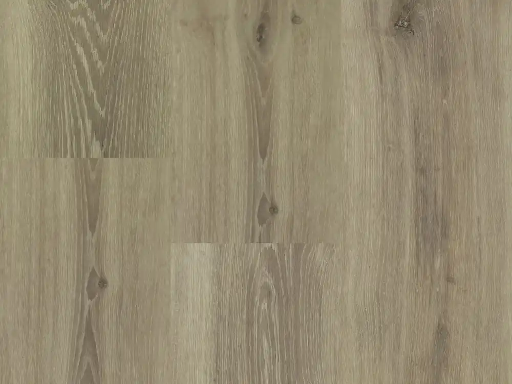 Montinique Chamonix 54813 Plank XL Dryback Exclusieve Aanbieding