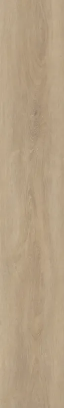 Invictus Divine Oak Champagne Walvisgraat Click Koop Vandaag