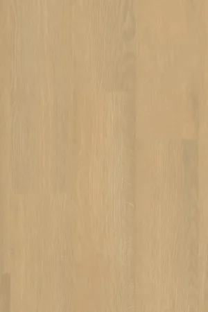 Seizoensaanbieding Het Vloeren Magazijn HVM0111 Plank XL Dryback