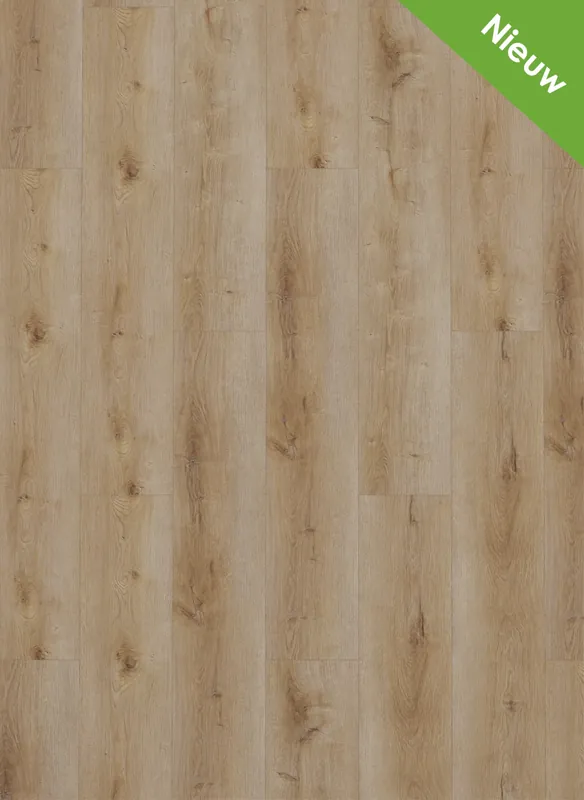 Gelasta Dynamic 2501 Natural smoked Plank Dryback Laatste Kans