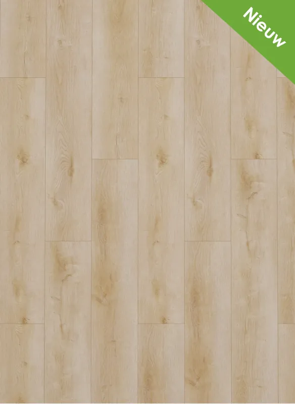 Gelasta Dynamic 2500 Natural light Plank Dryback Hoge Kwaliteit