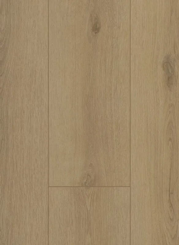 Shop Nu Gelasta Firmfit 6501 Sierra Beige Plank XL Dryback