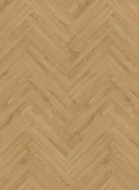 Gelasta Oakland 6201 Naturel Visgraat XL Dryback Goedkoop