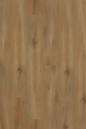 Nu Kopen Gelasta Callisto 5100 Natural Oak Dark Plank XL Click