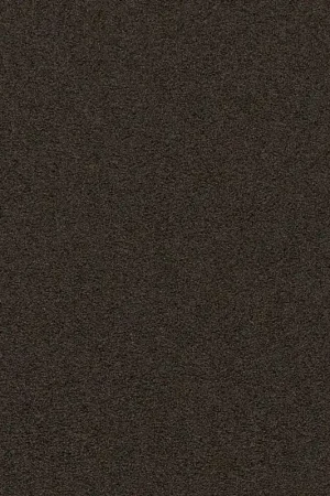 Ambiant Entrance mocha 0610 60x80cm Alleen Vandaag