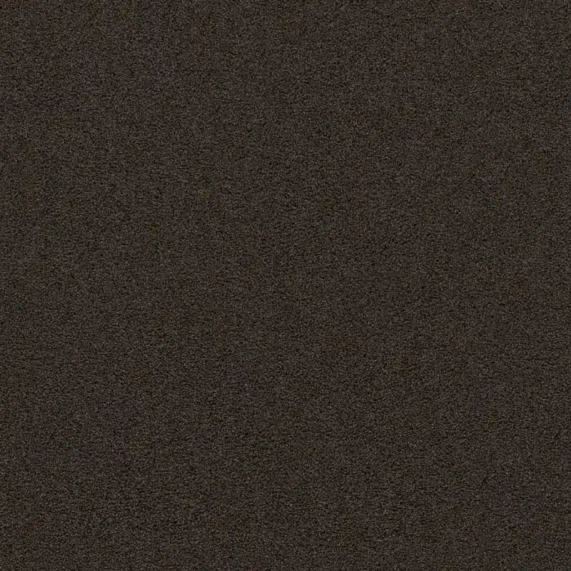 Ambiant Entrance mocha 0610 60x80cm Alleen Vandaag