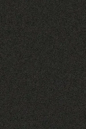 Ambiant Entrance zwartbruin 0255 60x80cm Hete Deal
