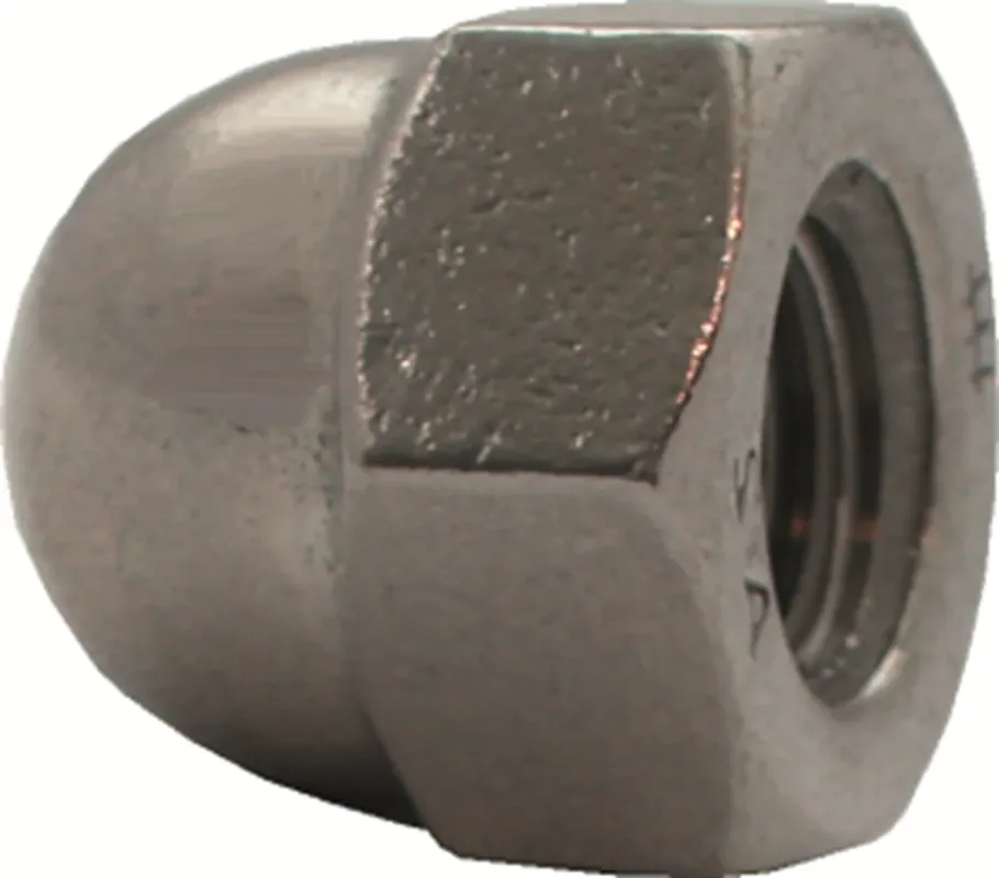 Kelfort DOPMOER RVS A2 DIN 1587 M6 Direct Verzonden