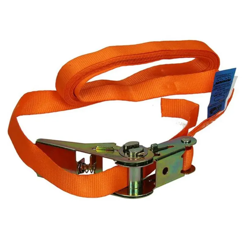 Betrouwbaar SPANGORDEL POLYESTER,RATELSPANNER 25MM-6M MAX500KG
