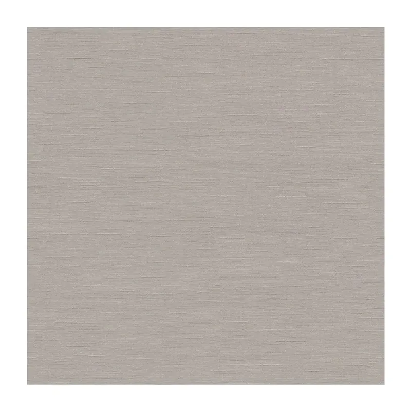 Fabrieksprijs Dutch Wallcoverings Collage Vliesbehang Uni Beige 02504-30