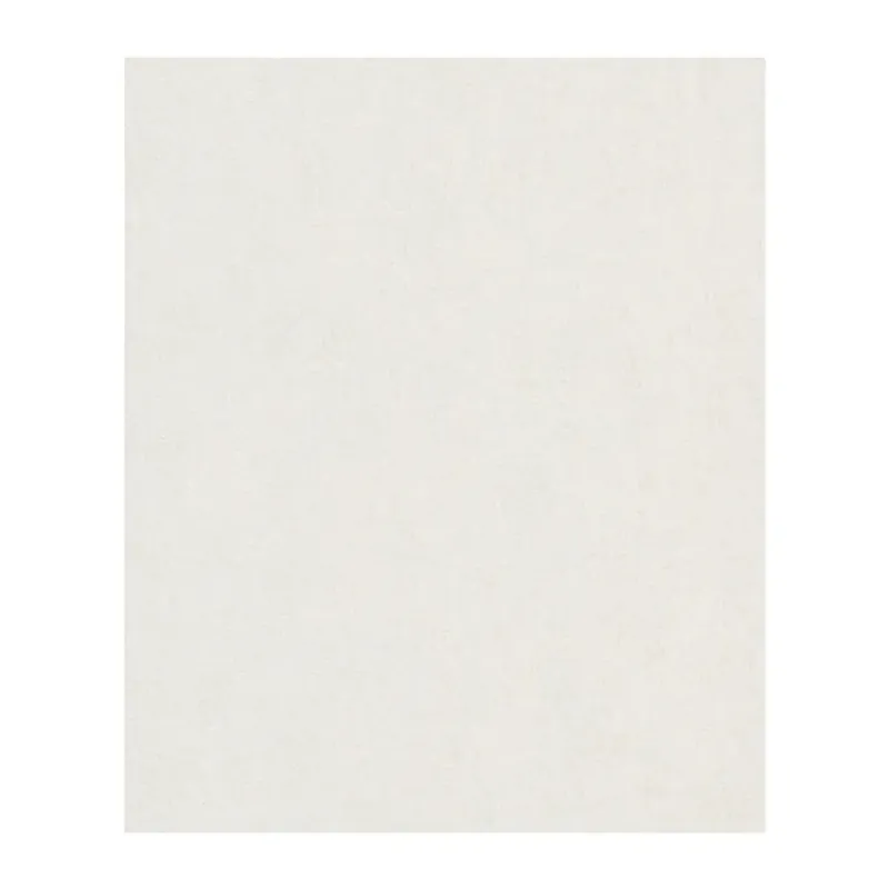Rasch Modern Surfaces Vliesbehang Betonlook Wit 489804 Beperkte Voorraad