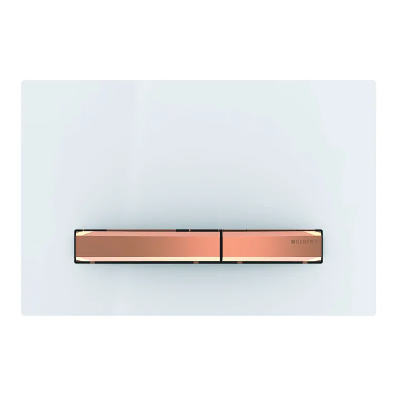 Geberit Sigma 50 bedieningspaneel DF frontbediend 24.6x16.4cm wit 115670112 Goedkoop