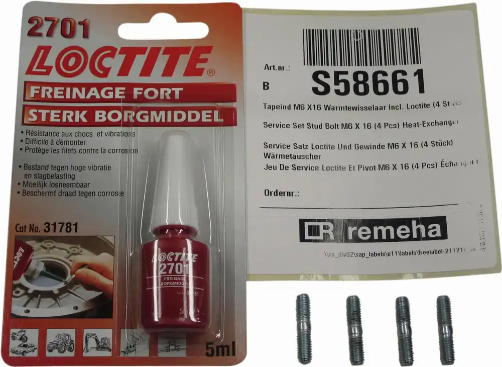 Remeha Quinta Solo en andere series tapeind M6X16 + loctite 4 stuks S58661 Fabrieksprijs
