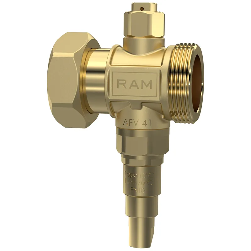 Hoge Kwaliteit Raminex AFV 41 vorstbeveiligingsklep 1¼" wartel x 1¼" buitendraad voor warmtepompen 410101