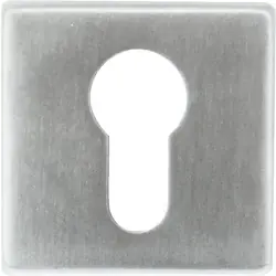 HDD Rozet Square Cylinderplaatje Inox Dagaanbieding