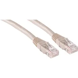 Koop Vandaag UTP kabel CAT6 2m
