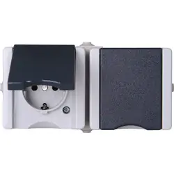 Wandcontactdoos RA dubbel opbouw spatwaterdicht Mat antraciet/wit IP44 horizontaal Lage Prijs
